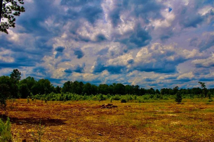 D6C132A7-25F9-42E1-A4E5-7C81042D4EEE_1_105_c