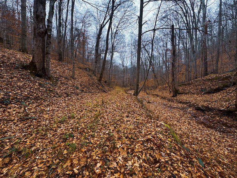 Ritchie, WV 100 AC Harper-49