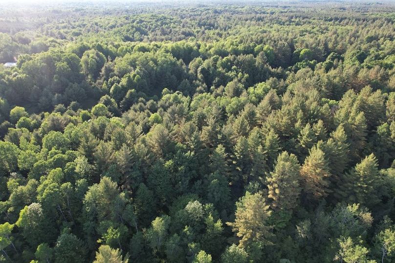 Jefferson_260.3_ Lobach_Photos_74