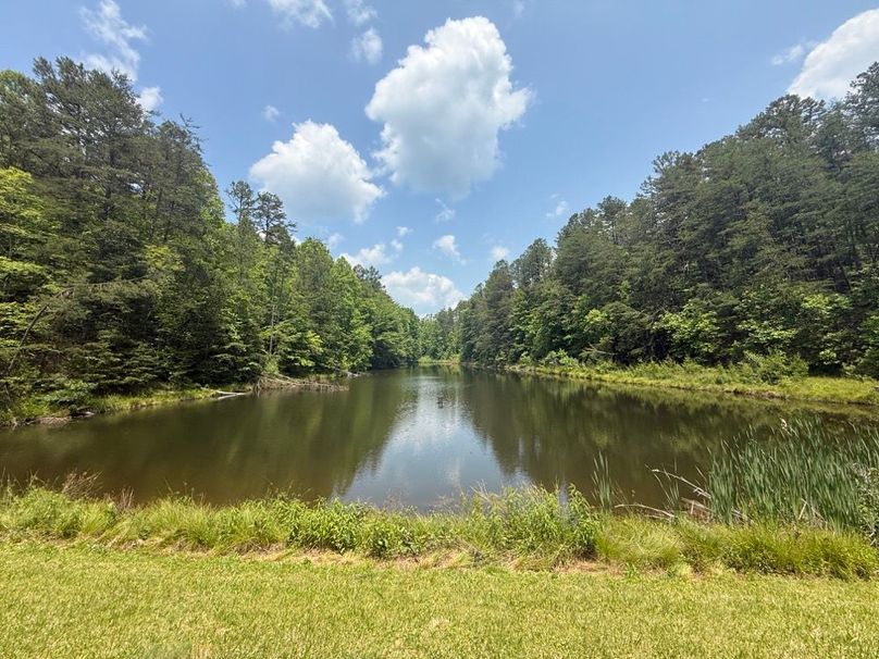 020 beautiful ground level view of the pond standing on the dam-2