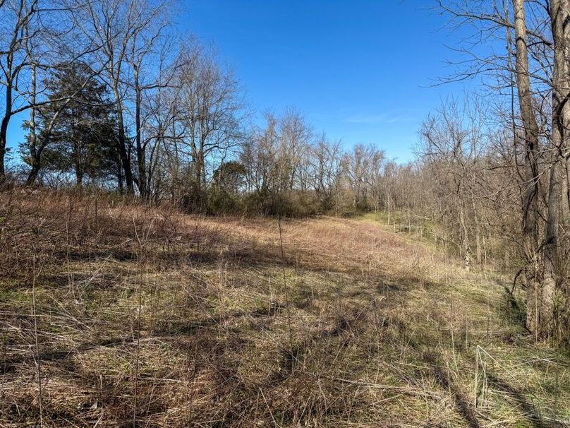 Fleming Petry 120-081