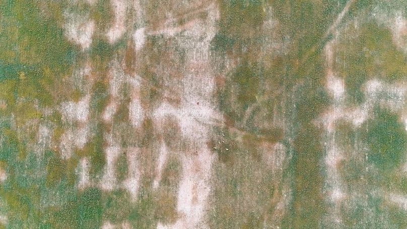 DJI_20240810063500_0053_D