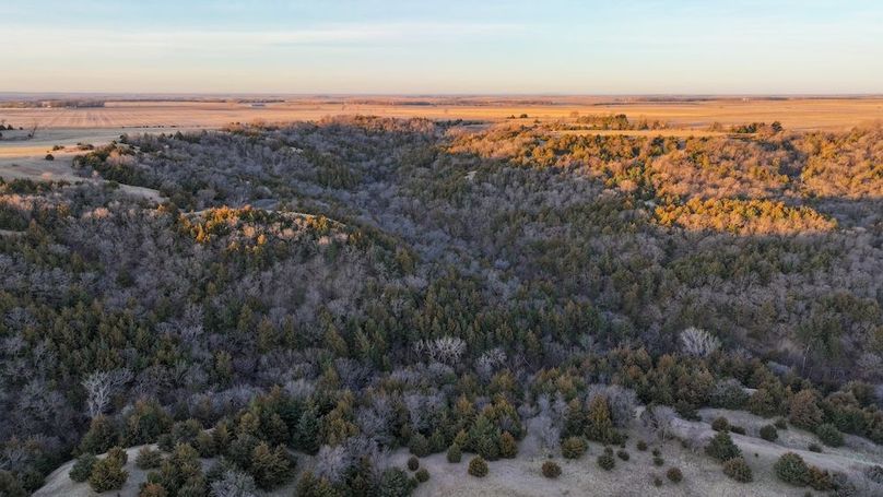 DJI_20260325075033_0113_D