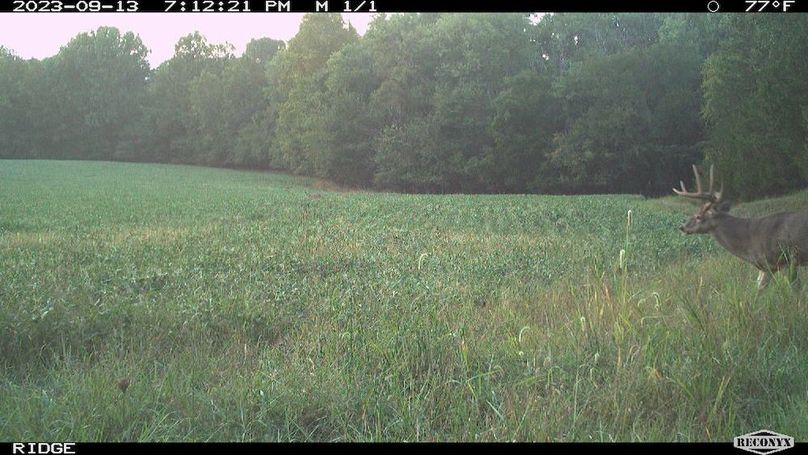 2023-09-13 19-12-21 M 1_1 (1)