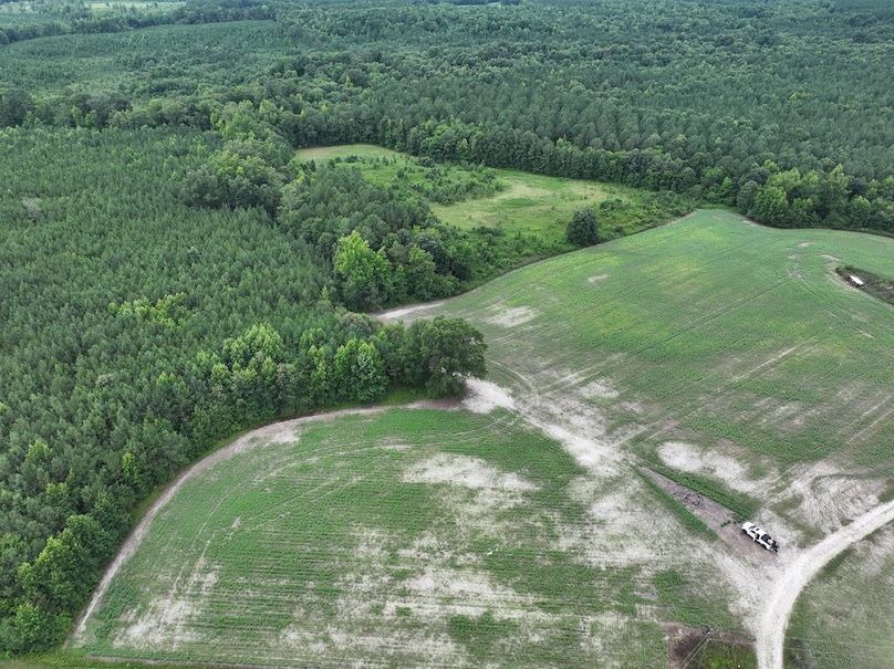 DJI_20240712130941_0029_D