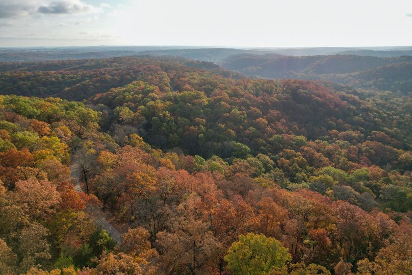 DJI_0302