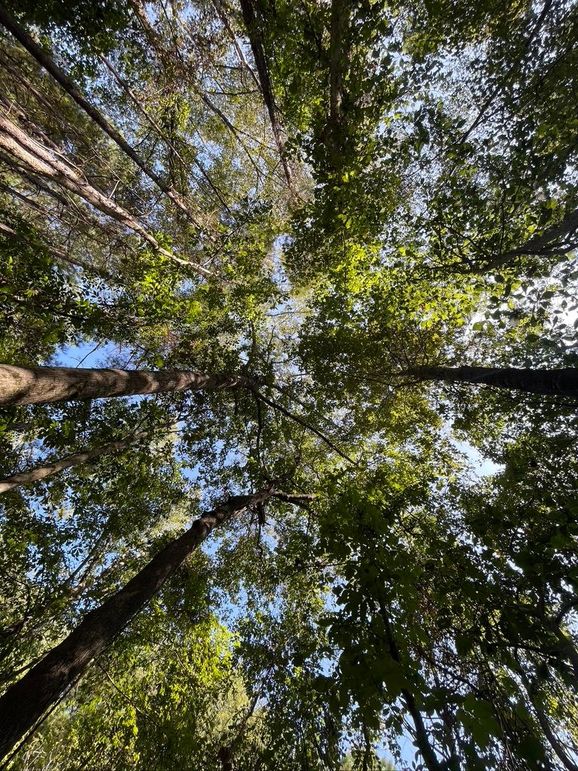 9EFBF6FB-1C13-425A-8B12-AA71D69FA61B_1_105_c