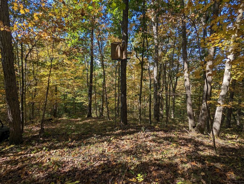 PXL_20231004_164351902