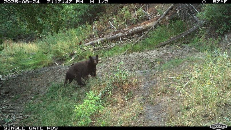 42D47137-C878-48A3-8F76-E488A9D3A808