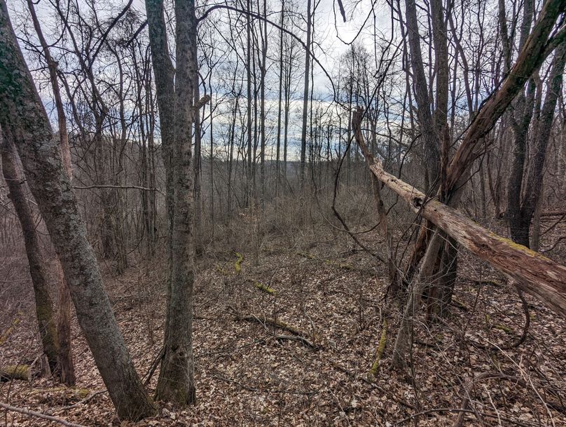 PXL_20230213_165725240