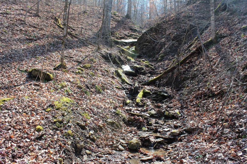 018 intermittent stream descending from the upper elevations