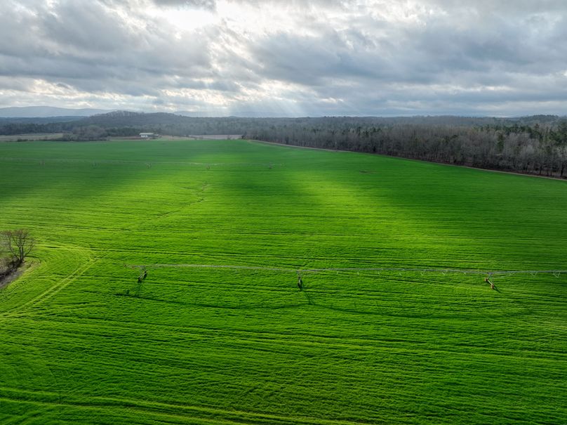 DJI_0981