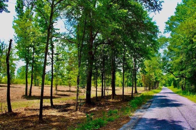 612EB3EF-11CE-45AC-8AF6-2D98B249A497_1_105_c