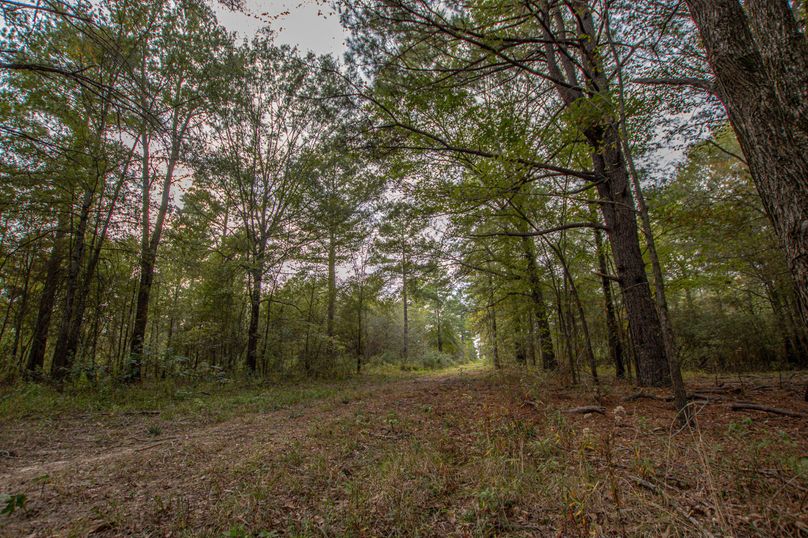 14 Upshur Co 603 ac Weise