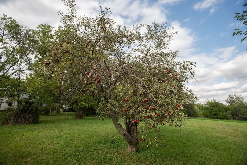 FREMONT CO IA .98+_-_31