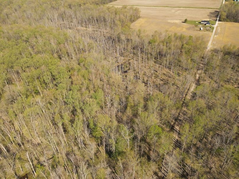 dji_fly_20260408_105544_58_1775660158864_photo