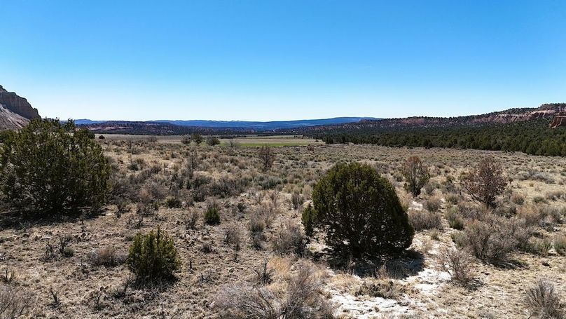 DJI_20240403111909_0159_D