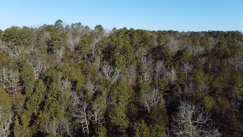 2024-02-06-09-11-27-148