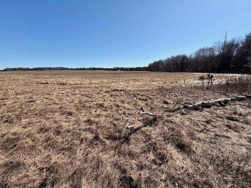 Jackson 27 Pics - 15