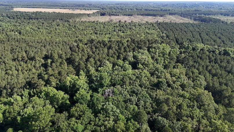 Copy of DJI_20250531220200_0579_D