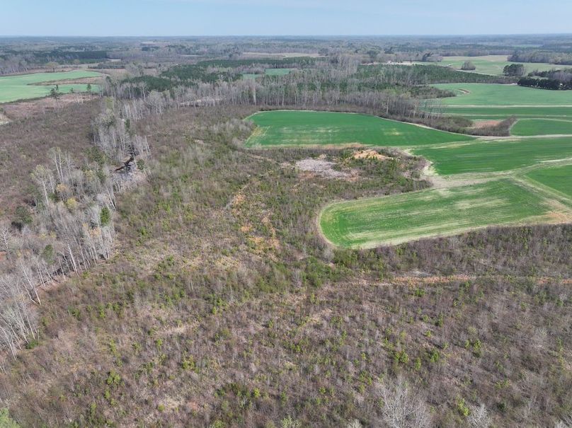 DJI_20260303062718_0517_D