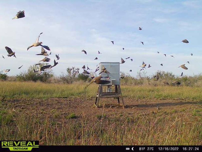 S865814042113447-100-4-12162022162724-W1011644