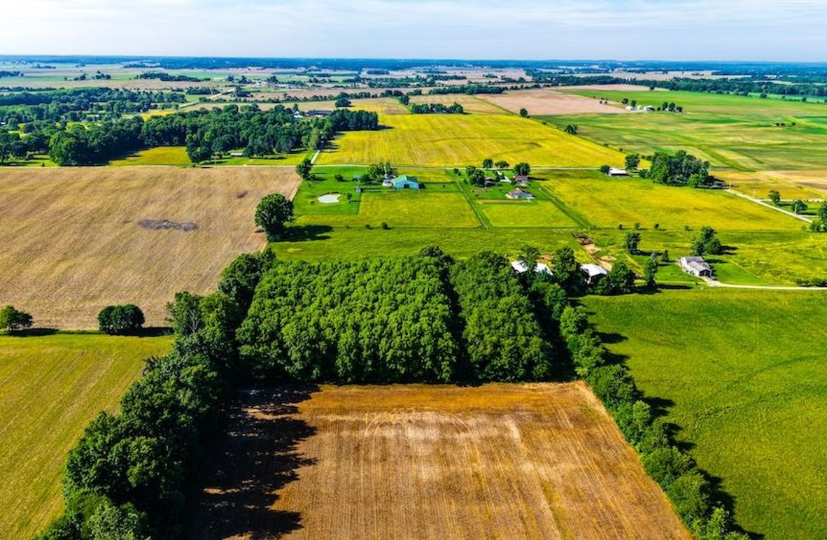 dji_fly_20260530_093856_0105_1780149228092_photo