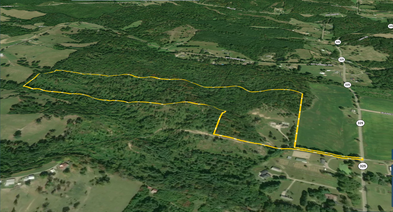 Screen Shot 2022-02-17 at 2.49.38 PM