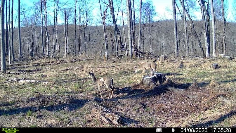 016579000369145-100-4-04082026173528-SYFW01302