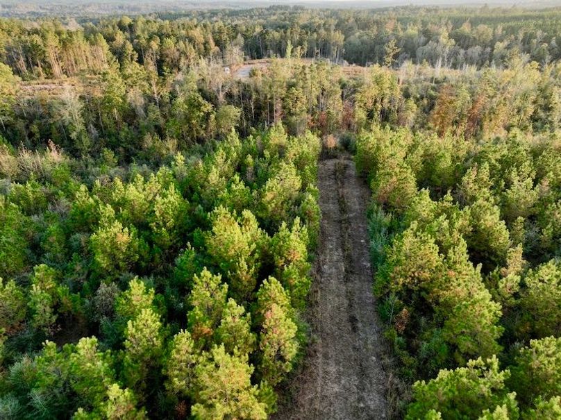 4ECA9786-177F-491D-A92B-6BD052EE39BC_1_105_c