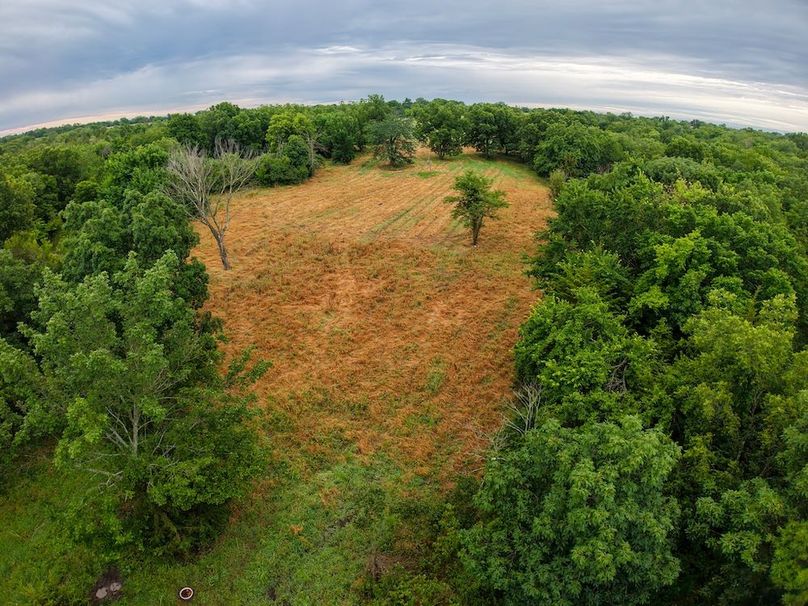 DJI_20250630073014_0331_D