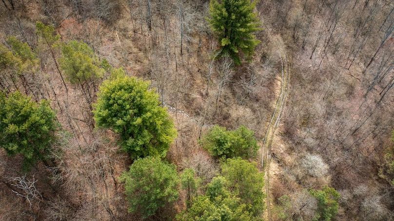 Tioga__NY_109.7_Burris_Photos_45