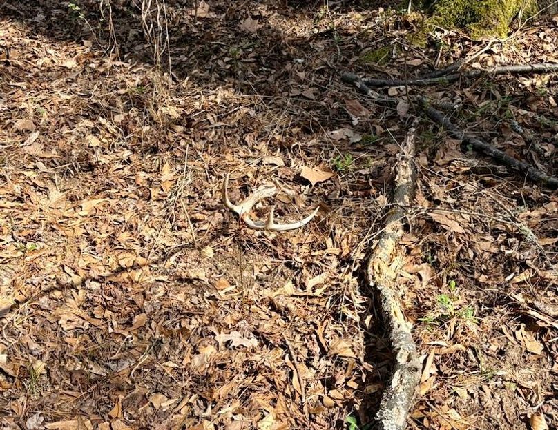 8E487A8E-CD2B-41D0-BAE3-E2B272A1A654_1_105_c