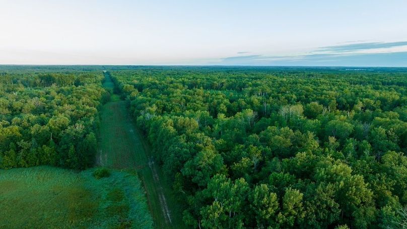 Cass MN 1095 Featured ProPhoto-58