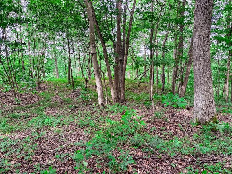 Wirt, WV 137.45 AC Full-24