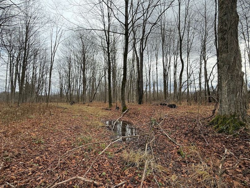 Tompkins_15.15_Galarza Photo 12