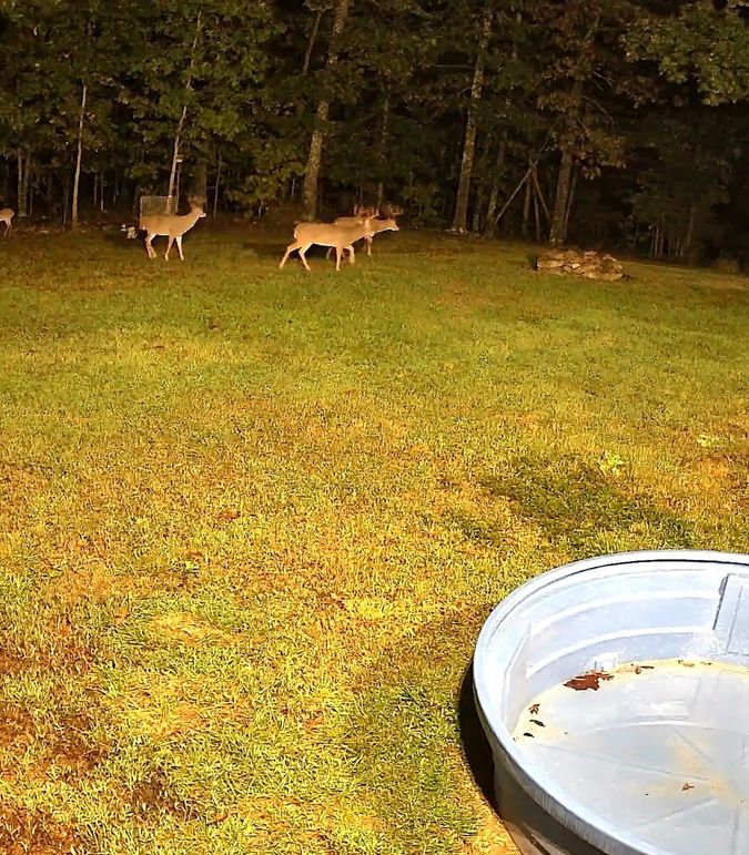 WYZE_1758762060.610509