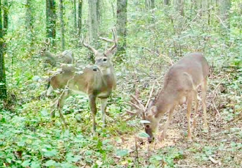 Screenshot_20200918-065409