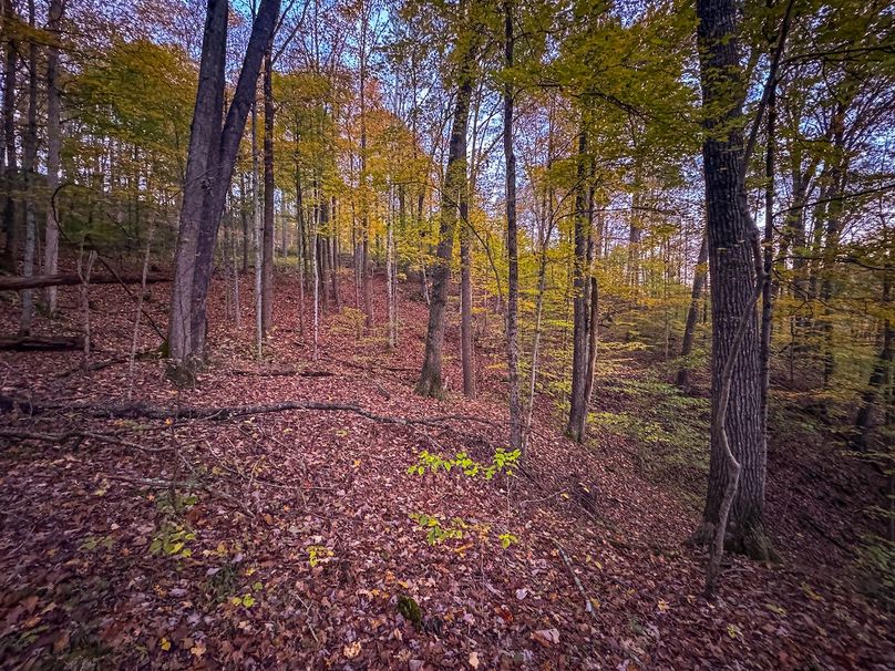 Wirt, WV 43 AC Berry-16