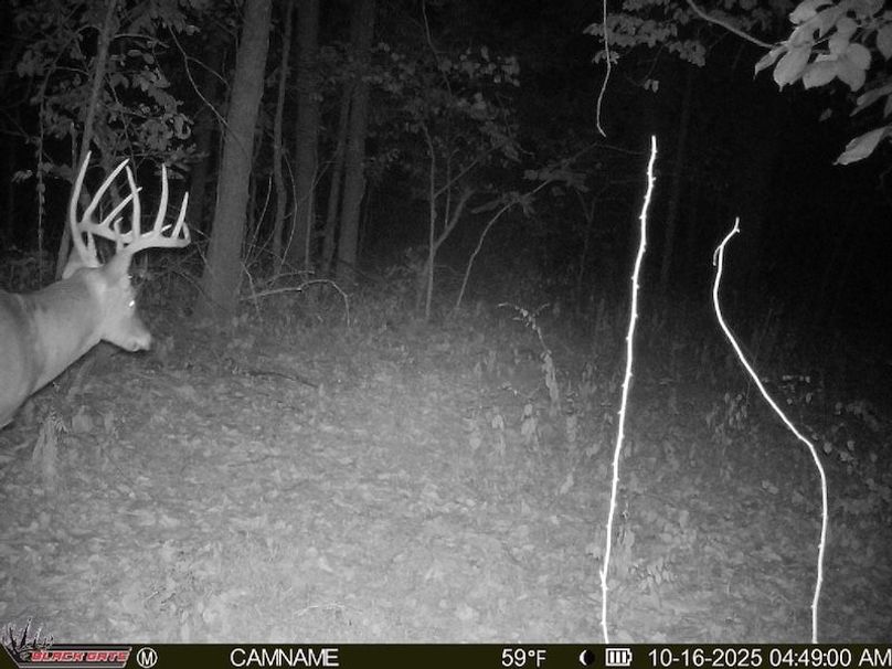 29413CD6-E19B-43C4-8591-C1B350F15209