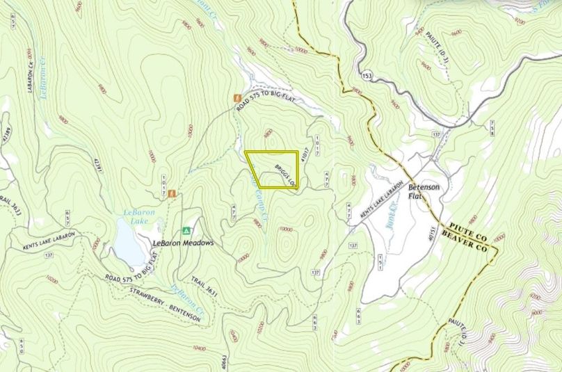 Map View