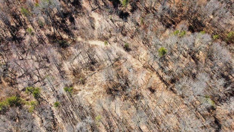 dji_fly_20240306_110304_37_1709744812214_photo_optimized