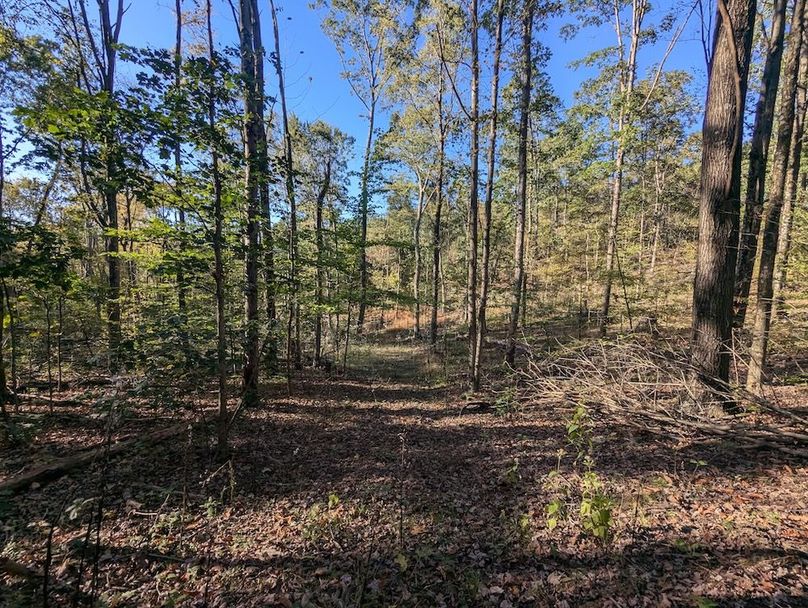 PXL_20251001_205841190