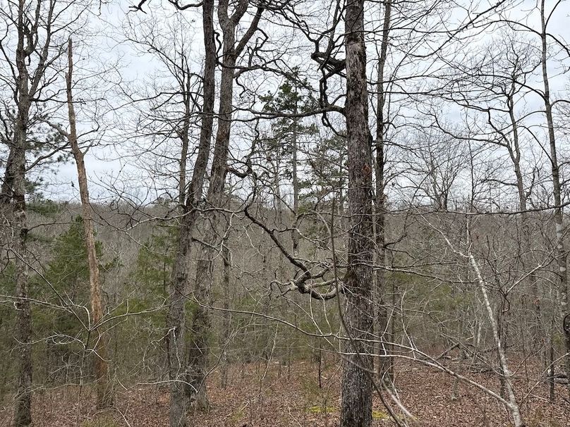 DJI_20260324_104046_432