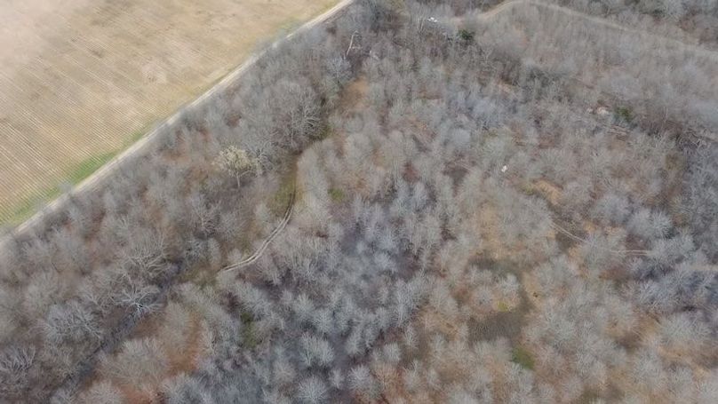 2024-02-29-15-45-50-634