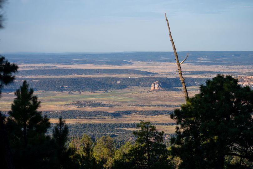 Cibola NM 13,053-05313