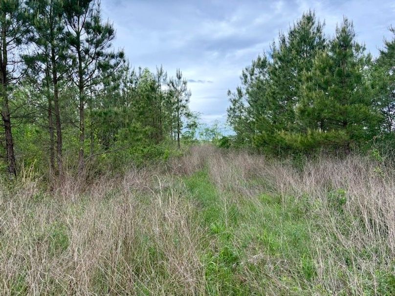 A353678D-C502-4361-B8EF-E3301E314B82_1_105_c