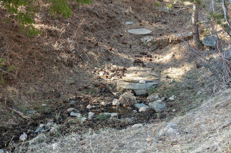 050 - Natural Spring