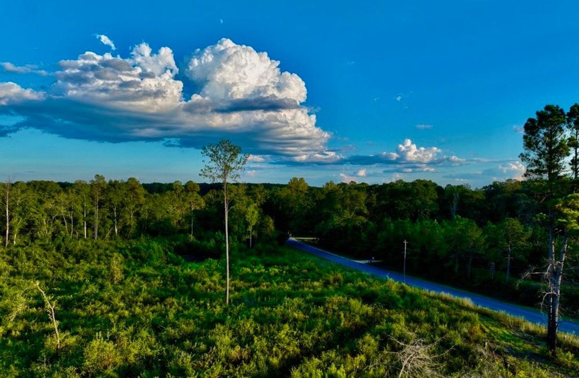 750A0E52-A22B-465C-91FD-726082F94E97_1_105_c-2