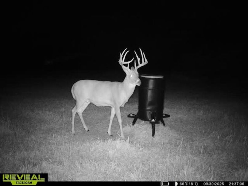 865509050128614-1-4-09302025213718-W1025477